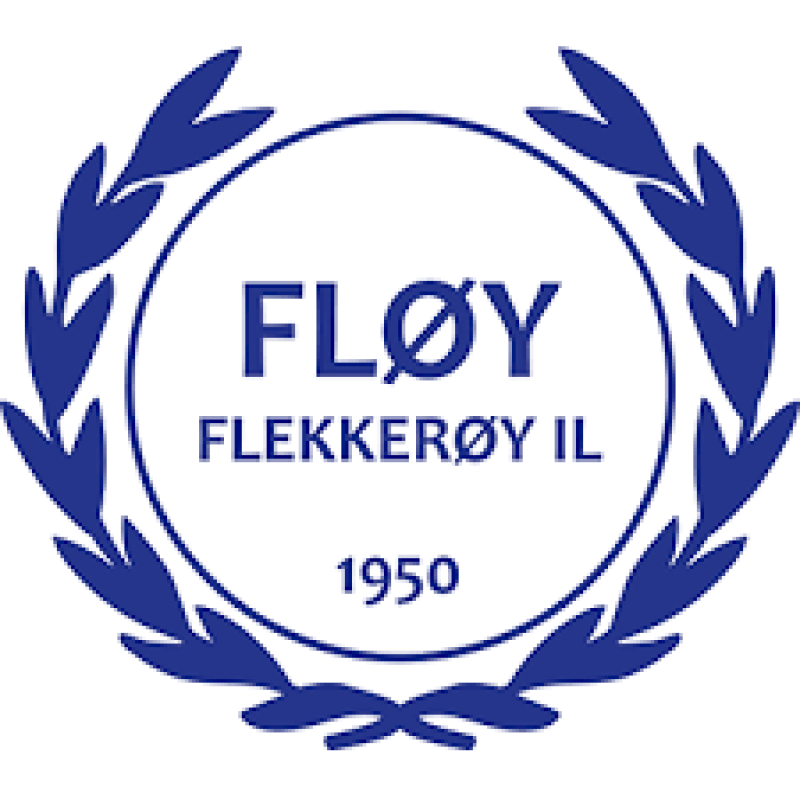 Fløy